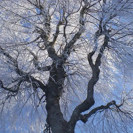 Gemuetliches In Am Naherholungsgebiet *
